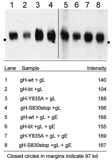 FIG. 9.