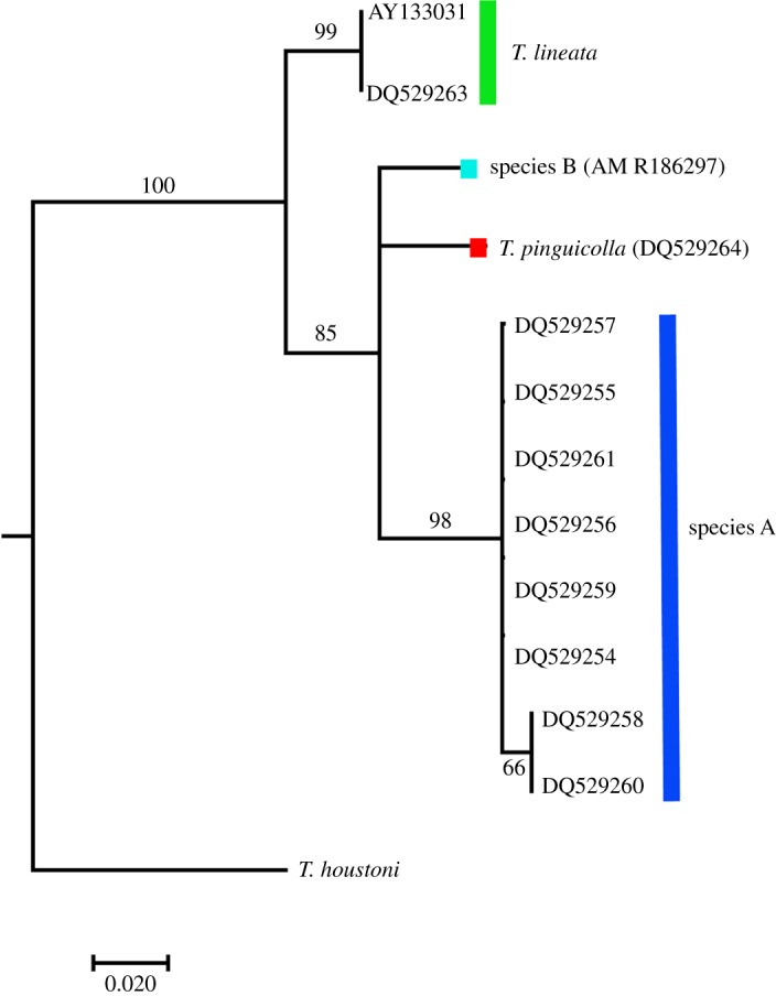 Figure 3.