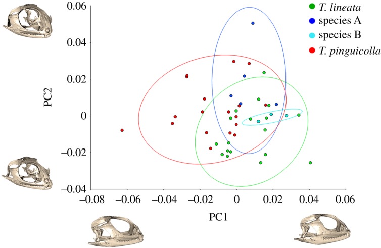 Figure 7.