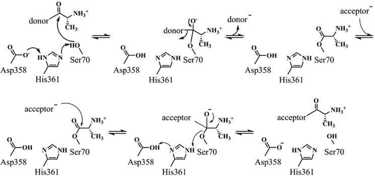 Scheme 1.