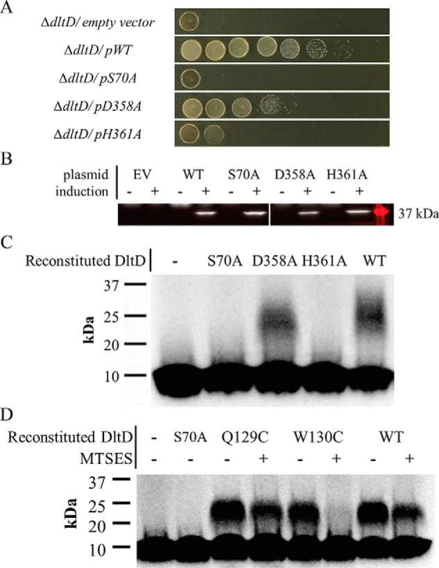 Figure 5.