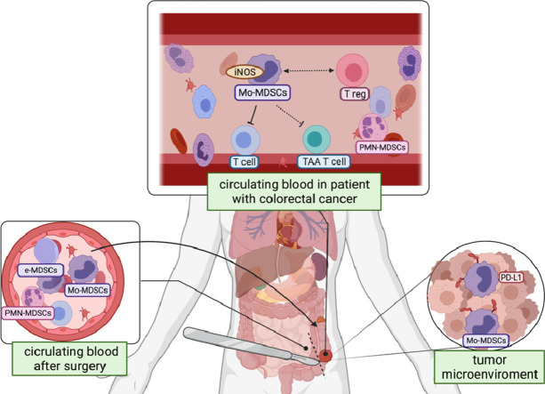 Image, graphical abstract