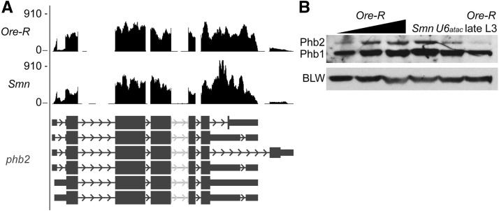 FIGURE 3.