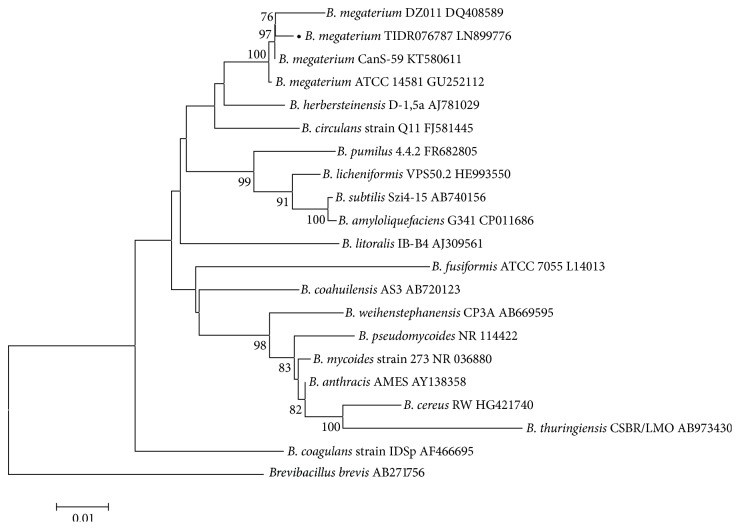 Figure 1