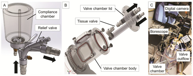 Figure 2.