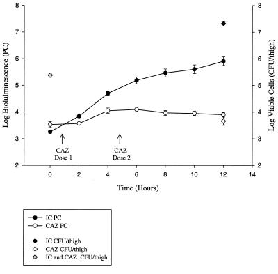 FIG. 6