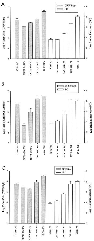 FIG. 7