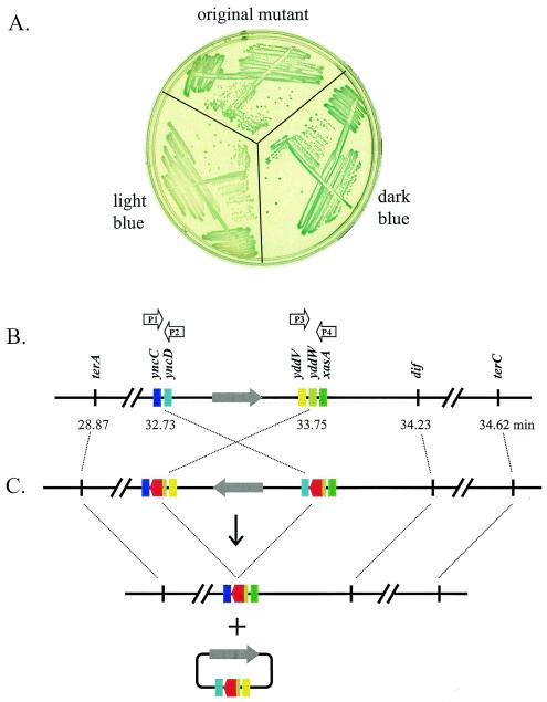 FIG. 3.