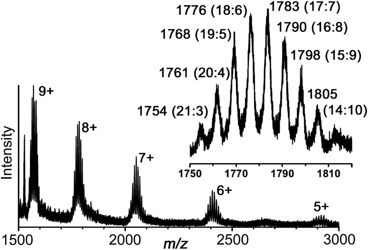 Fig. 9