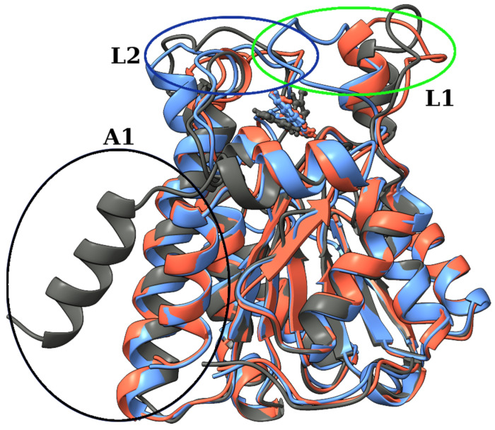 Figure 7