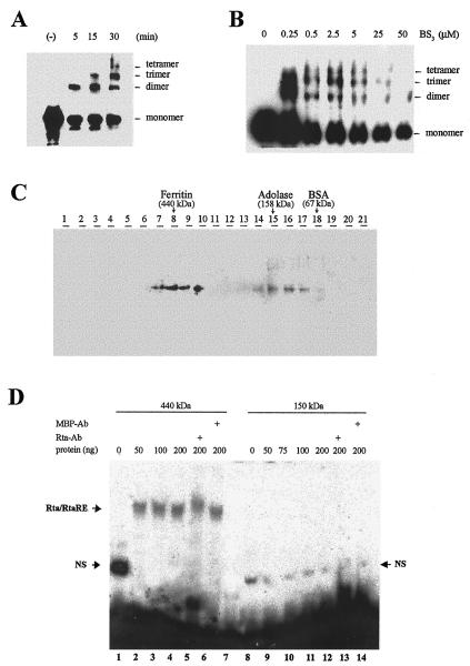 FIG. 5.