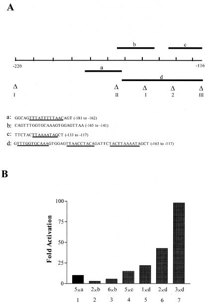 FIG. 2.