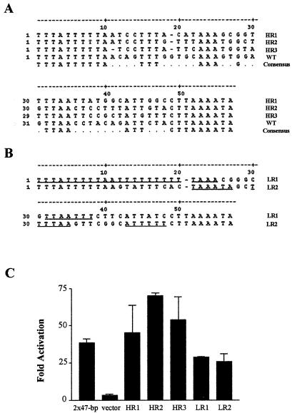 FIG. 6.