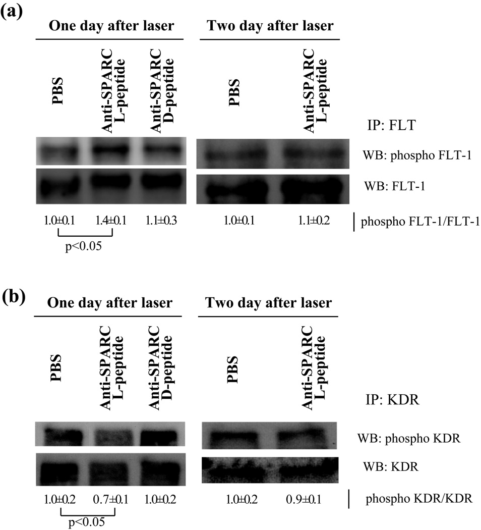 Figure.4