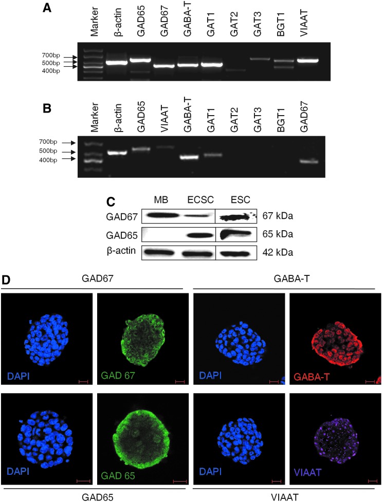 FIG. 3.