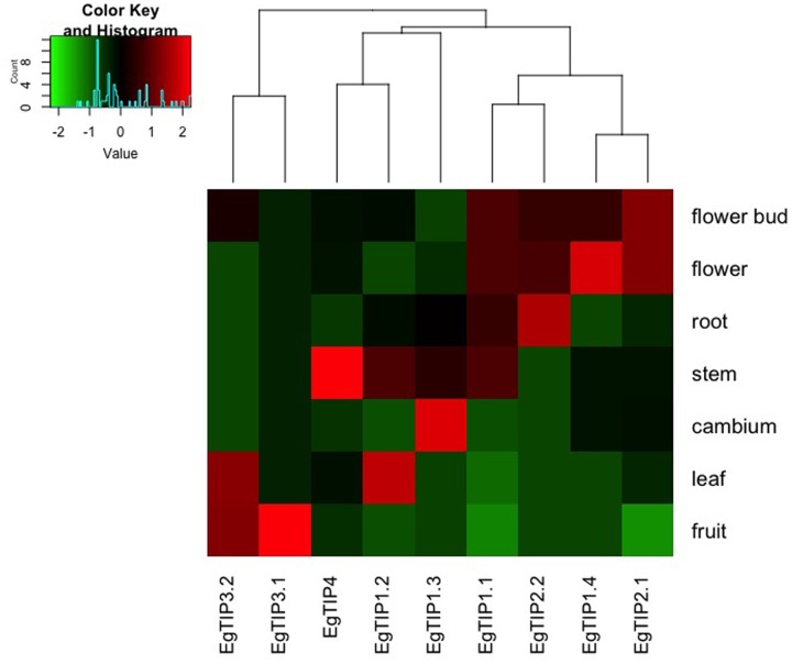 FIGURE 4