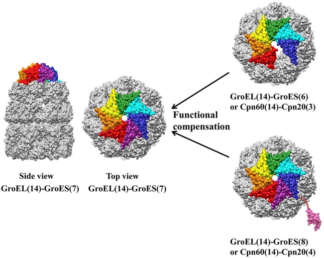 Figure 5