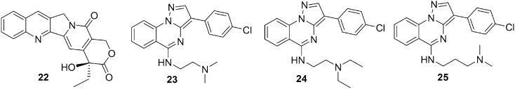 Fig. 5