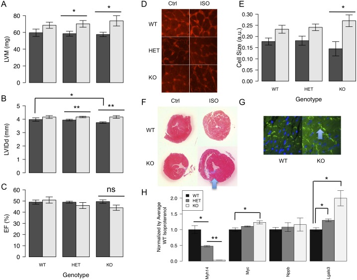 Fig 9