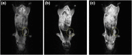 FIGURE 14