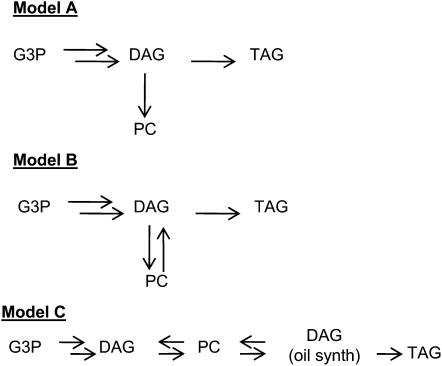 Figure 9.