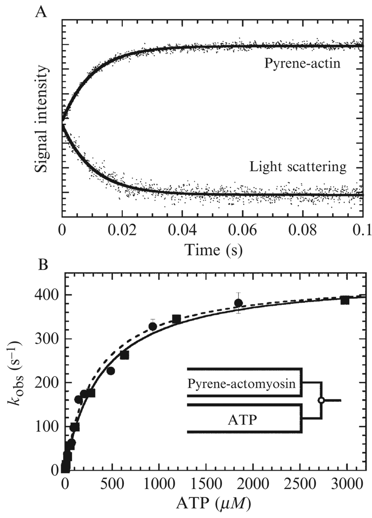 Figure 6.3