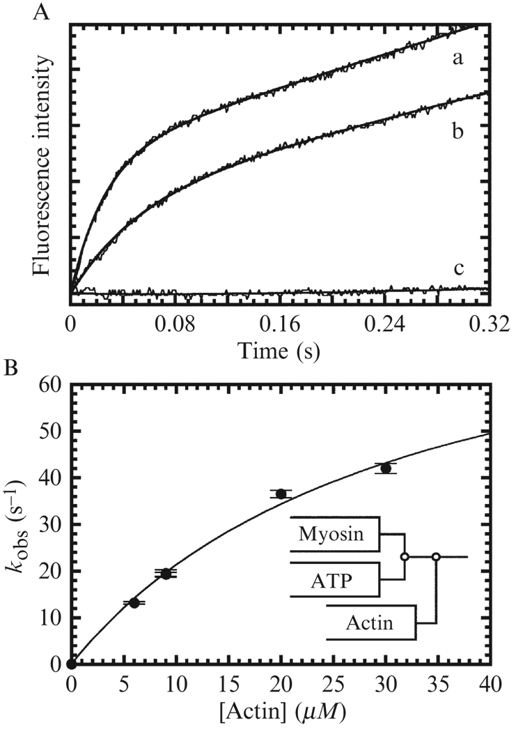 Figure 6.5