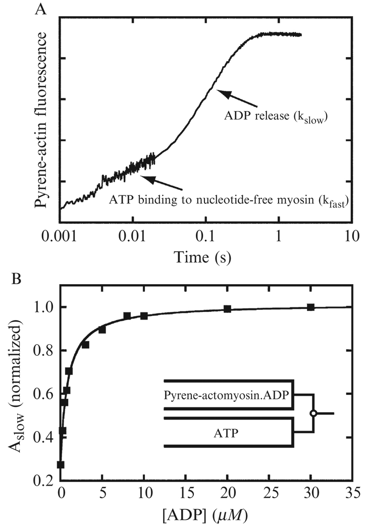 Figure 6.6