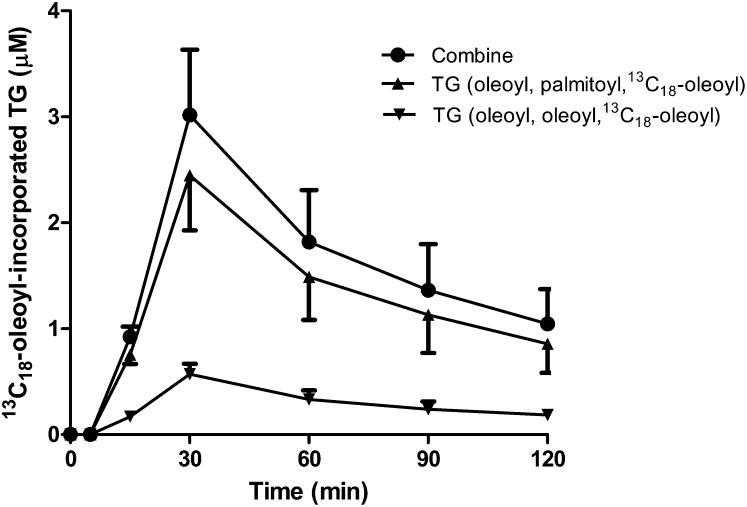 Fig. 8.