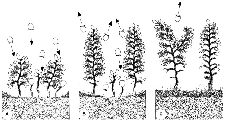 FIGURE 9