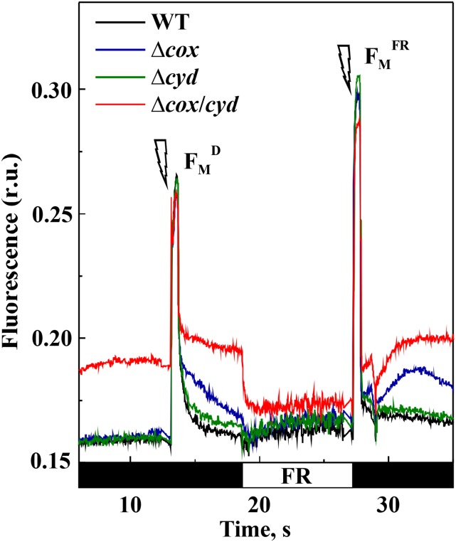 Figure 7.