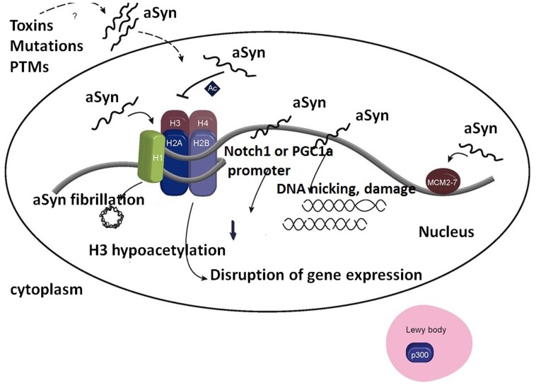 FIGURE 3