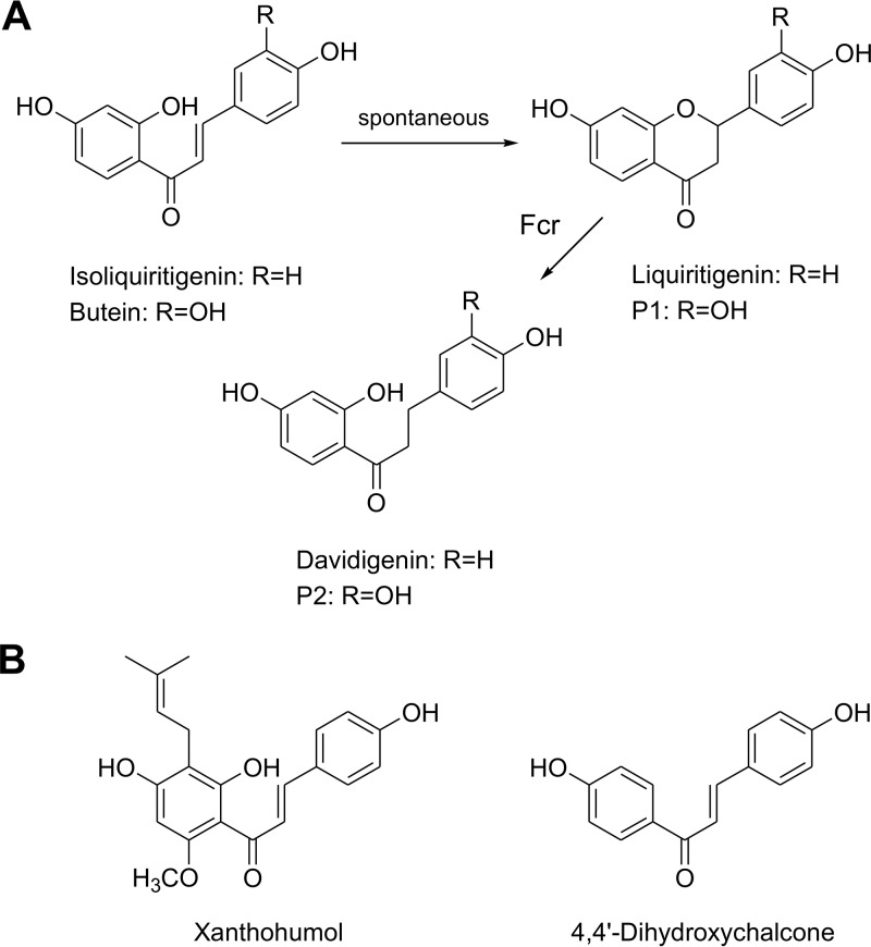 FIG 7