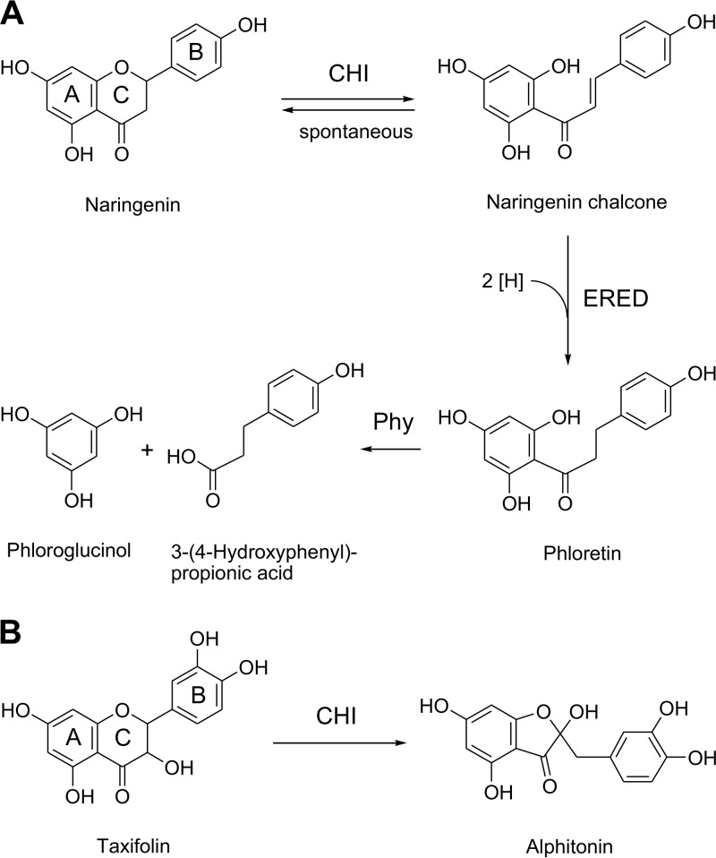 FIG 1