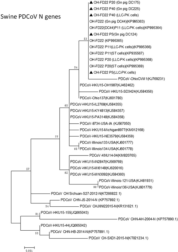 Fig. 3