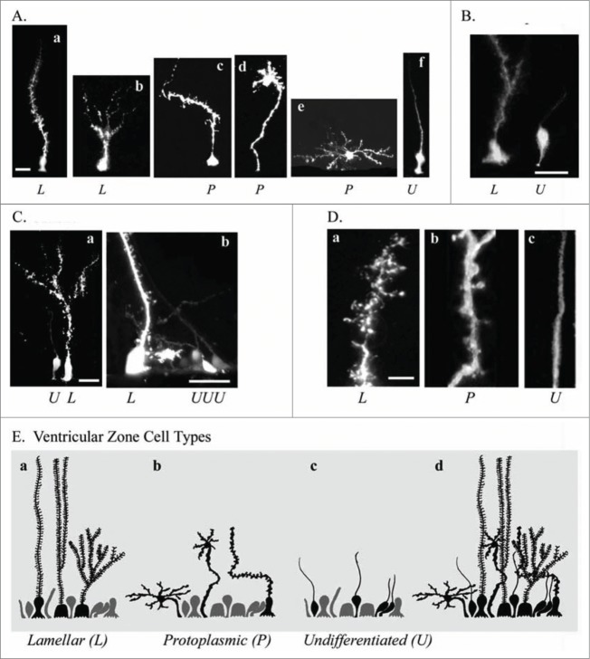 Figure 6.