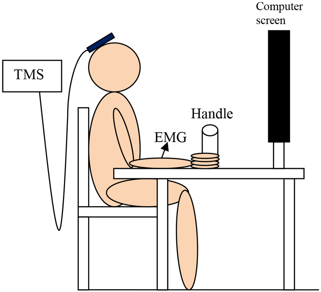 Fig. 1