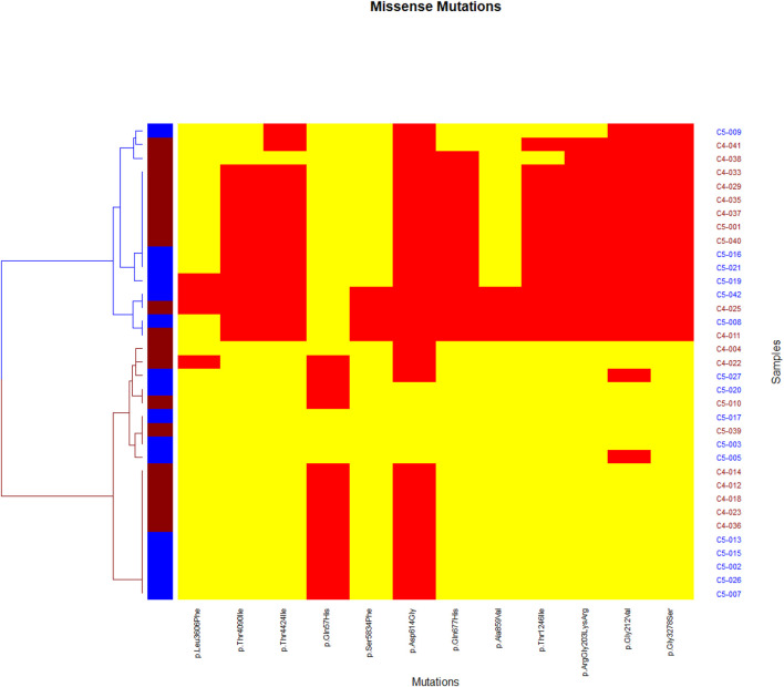 FIGURE 4