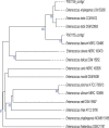 FIG 1
