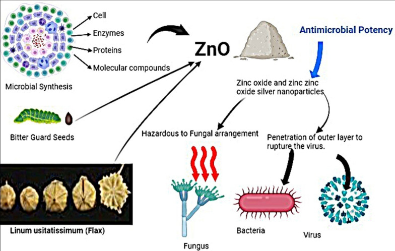 Fig. 3