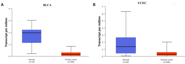 Figure 14