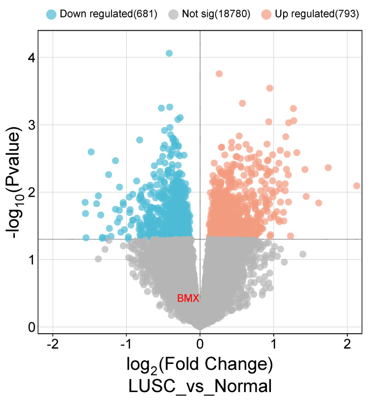 Figure 21