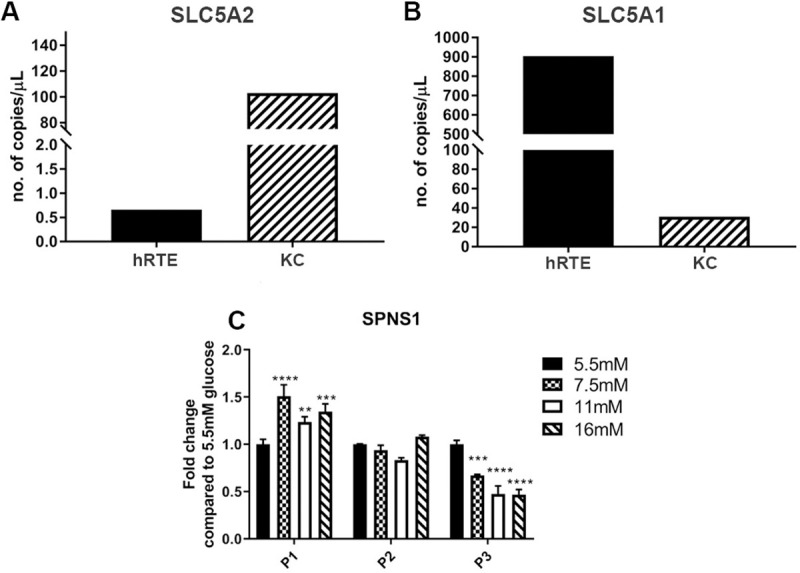 Fig 7