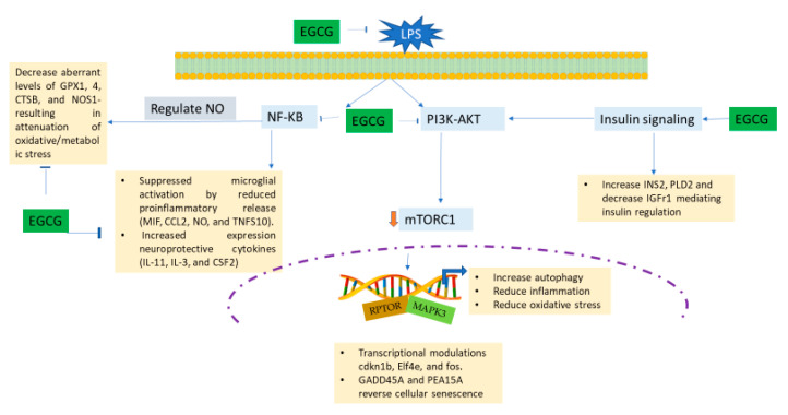 Figure 18