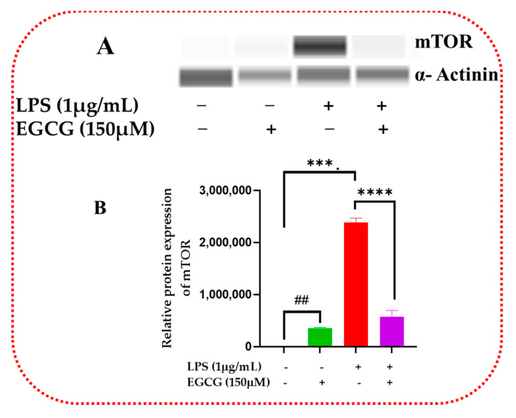 Figure 17