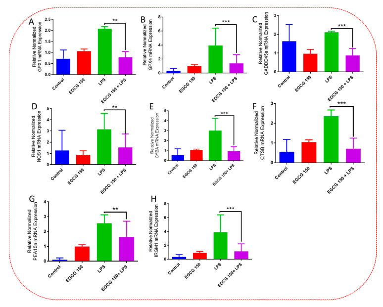 Figure 13