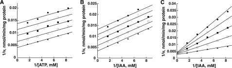 FIGURE 4.