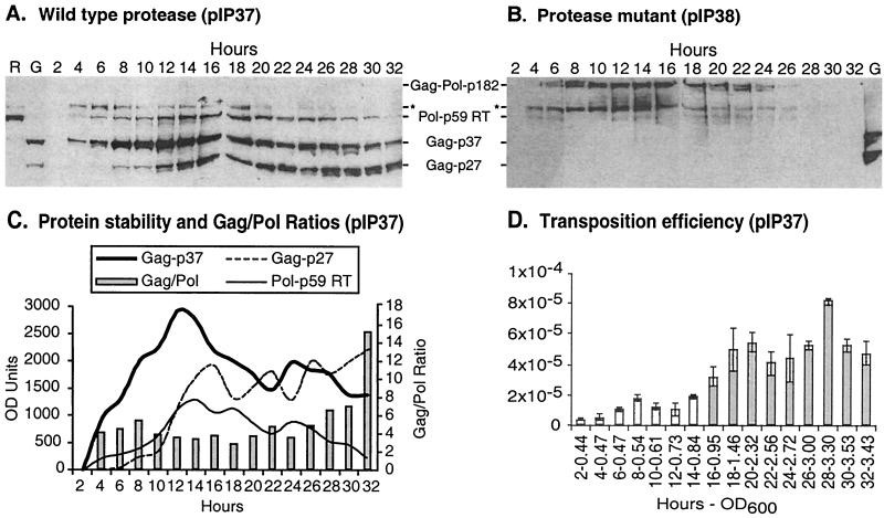 FIG. 4