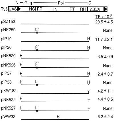 FIG. 1