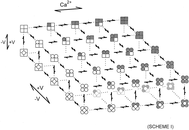 Scheme S1